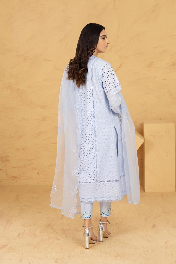 WANIYA SHIRT WITH PANTS & ORGANZA DUPATTA AA-06305